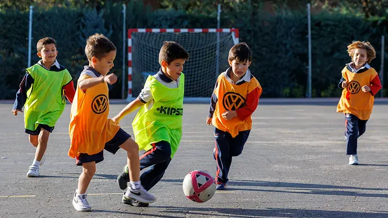 Fútbol