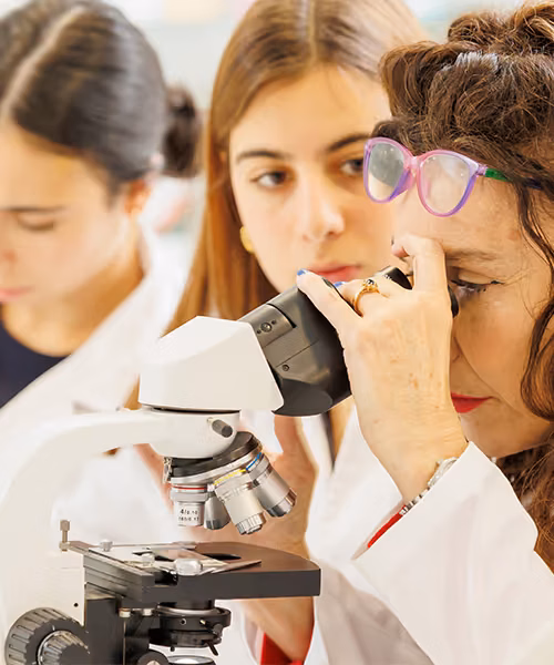 Laboratorios